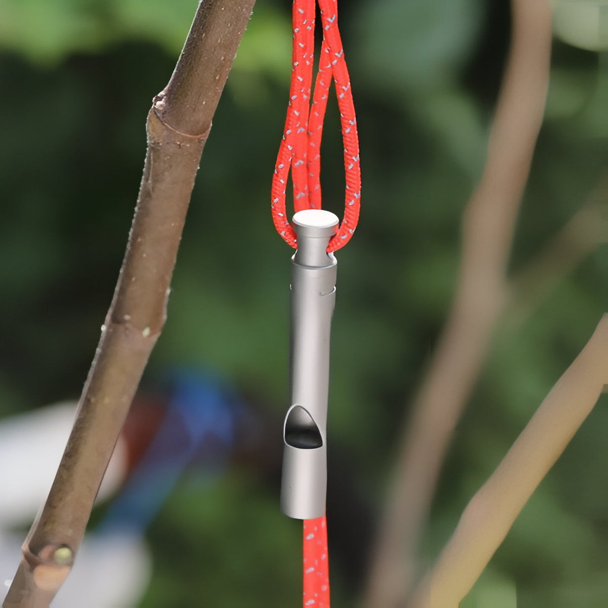 Titanium Hiking Whistle hanging from a branch - Grey