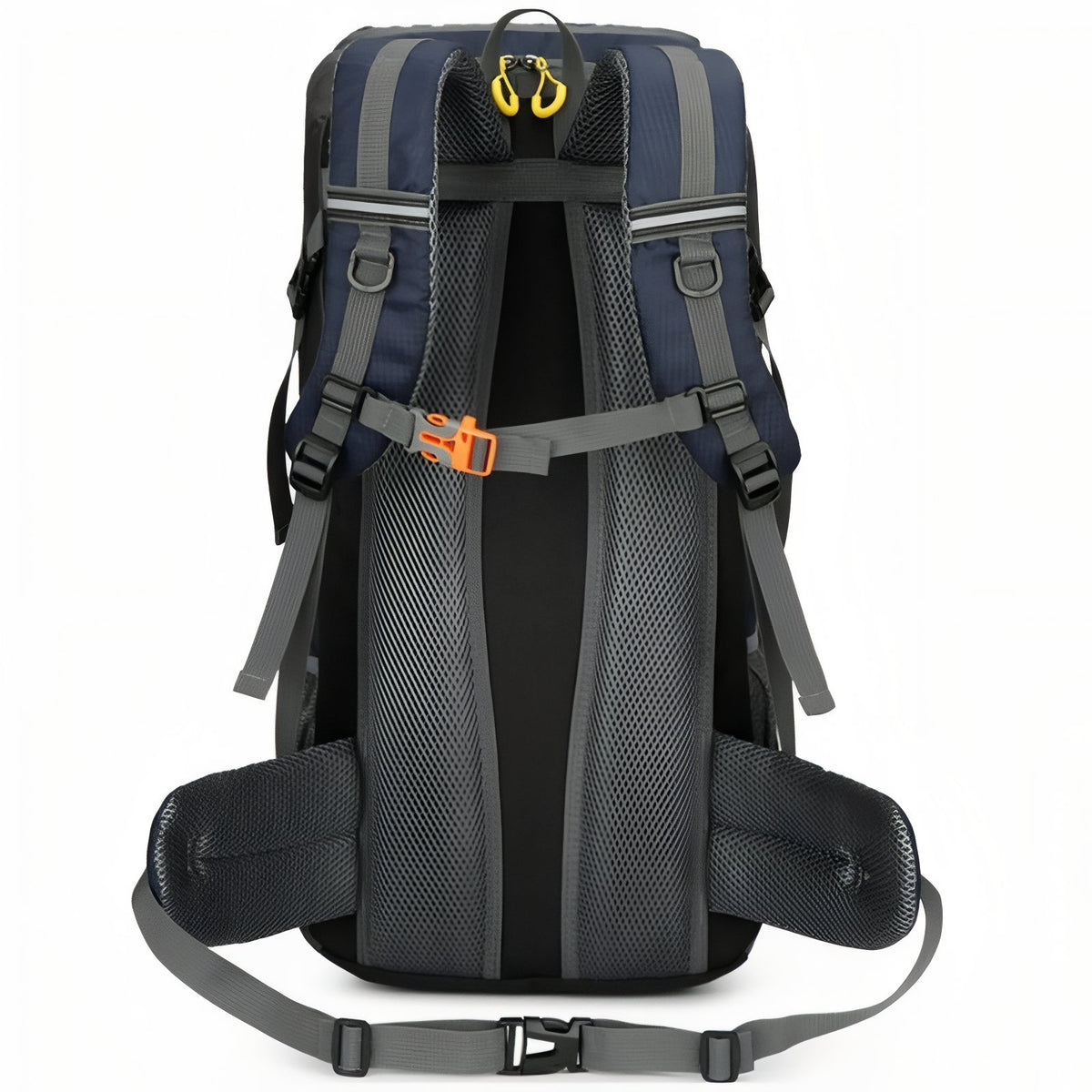 Lightweight Hiking Backpack 50 liters close-up back of backpack - Orange - Black - Navy Blue - Red - Green
